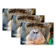 Load image into Gallery viewer, Project Chimps 2024 Calendar - 3 PACK