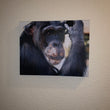 Load image into Gallery viewer, CSNW Burrito Mounted Canvas