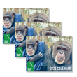 Load image into Gallery viewer, Project Chimps 2026 Calendar - 3 PACK