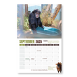 Load image into Gallery viewer, Chimpanzee Sanctuary Northwest 2025 Calendar 3 Pack