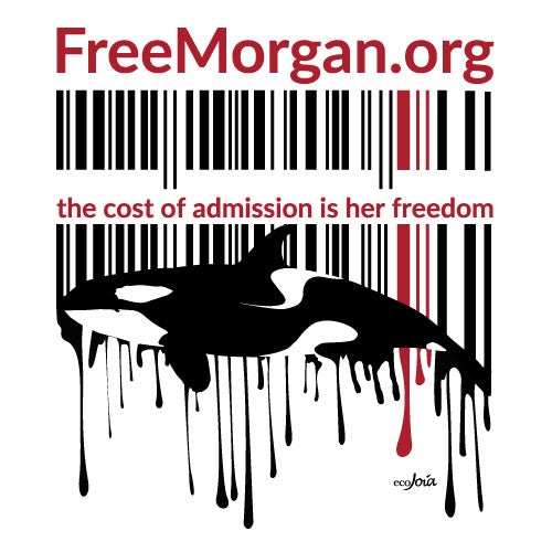 Free Morgan Foundation UPC Code White Ladies V-Neck