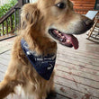 Load image into Gallery viewer, Project Chimps I Hike with Chimps Doggie Bandana