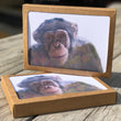 Load image into Gallery viewer, Project Chimps Notecard Set
