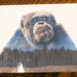 Load image into Gallery viewer, Project Chimps Notecard Set