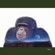 Load image into Gallery viewer, Project Chimps Notecard Set