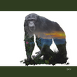 Load image into Gallery viewer, Project Chimps Notecard Set
