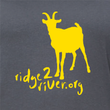 Load image into Gallery viewer, Ridge 2 River Compassion Circle Ladies Slate Grey Tee