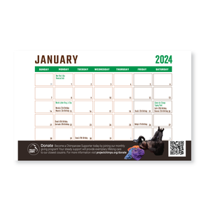 Project Chimps 2024 Calendar