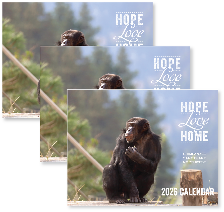 Chimpanzee Sanctuary Northwest 2026 Calendar 3 Pack