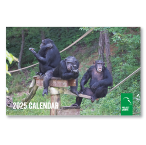 Project Chimps 2025 Calendar