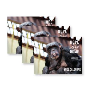 Chimpanzee Sanctuary Northwest 2025 Calendar 3 Pack - PRESALE