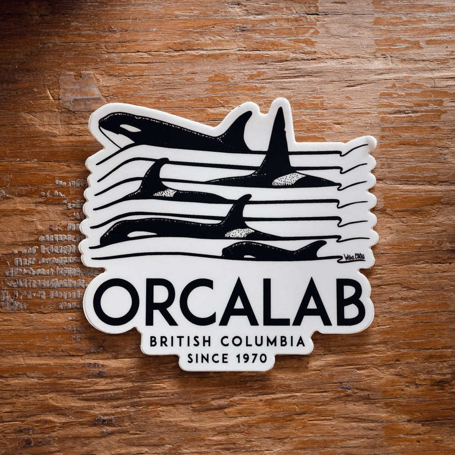 Orcalab Spectrogram Decal