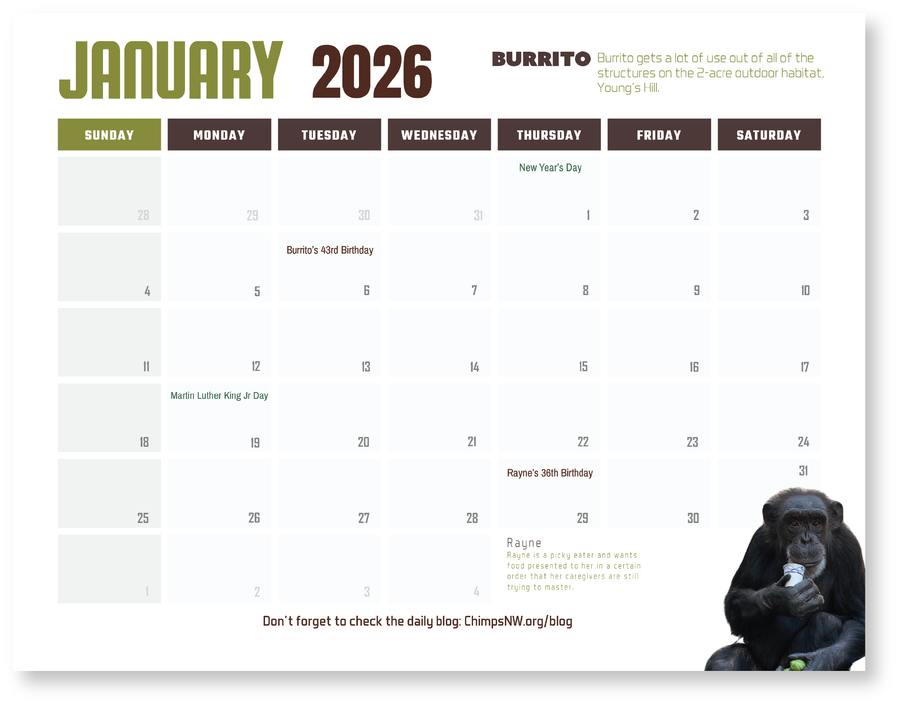 Chimpanzee Sanctuary Northwest 2026 Calendar
