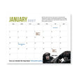 Load image into Gallery viewer, Chimpanzee Sanctuary Northwest 2027 Calendar 3 Pack
