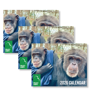 Project Chimps 2026 Calendar - 3 PACK