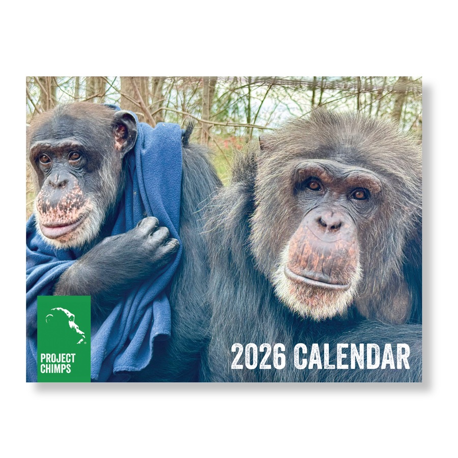 Project Chimps 2026 Calendar