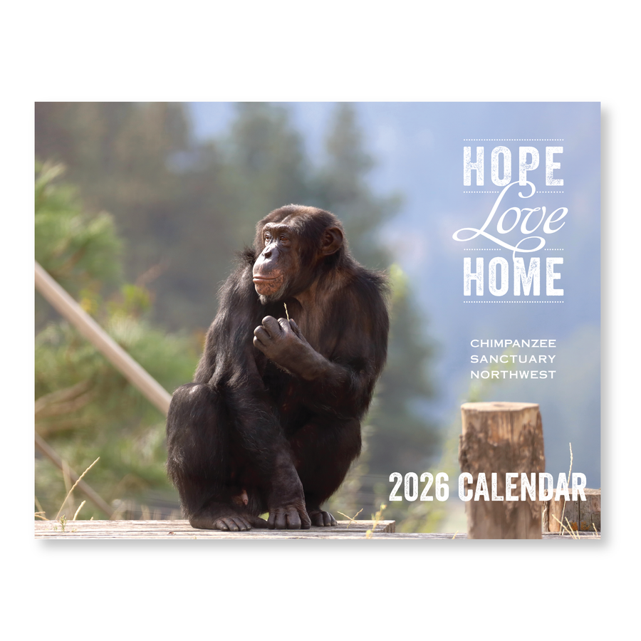 Chimpanzee Sanctuary Northwest 2026 Calendar