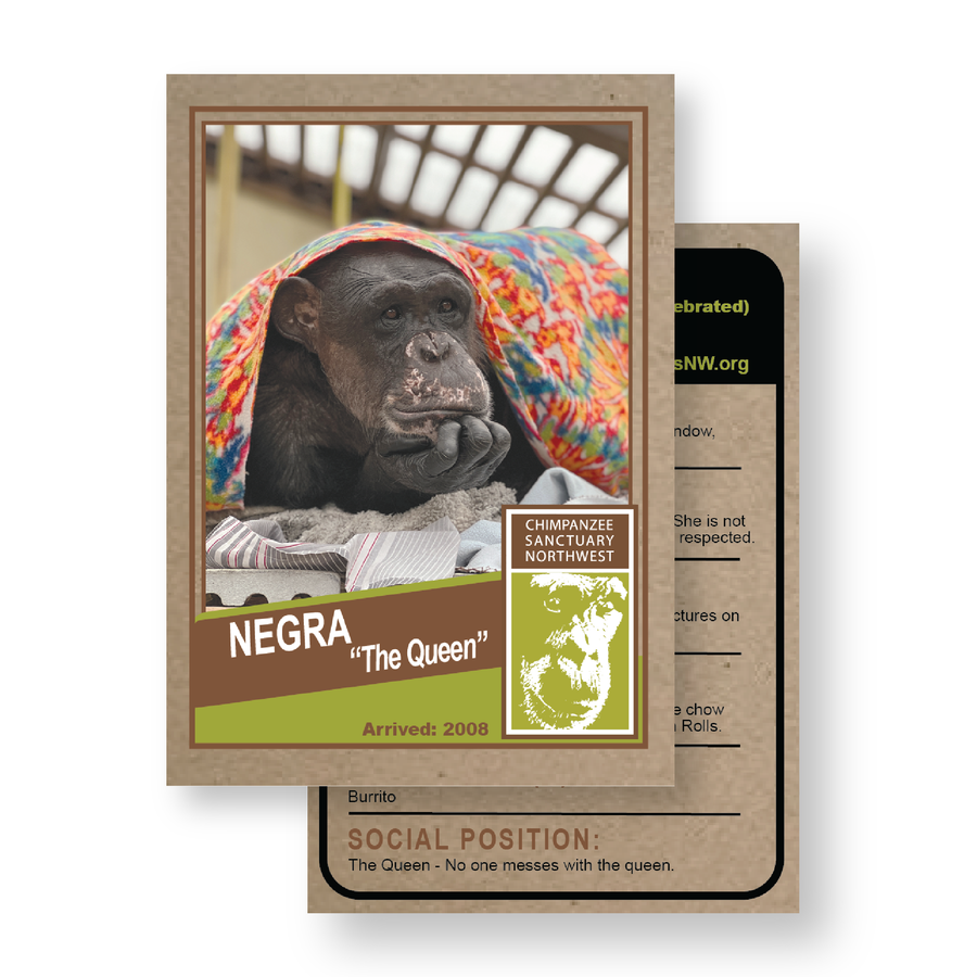 Chimpanzee Sanctuary Northwest Trading Cards - PRESALE