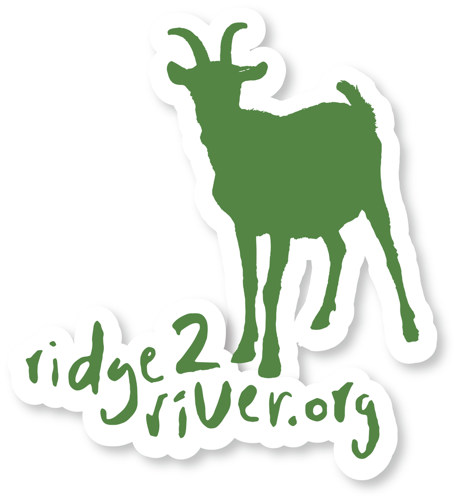 Ridge 2 River Logo Decal Green