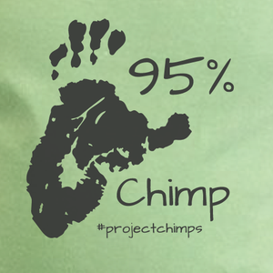 Project Chimps 95% Toddler Tee in Avocado