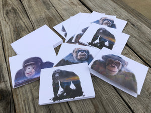 Project Chimps Notecard Set
