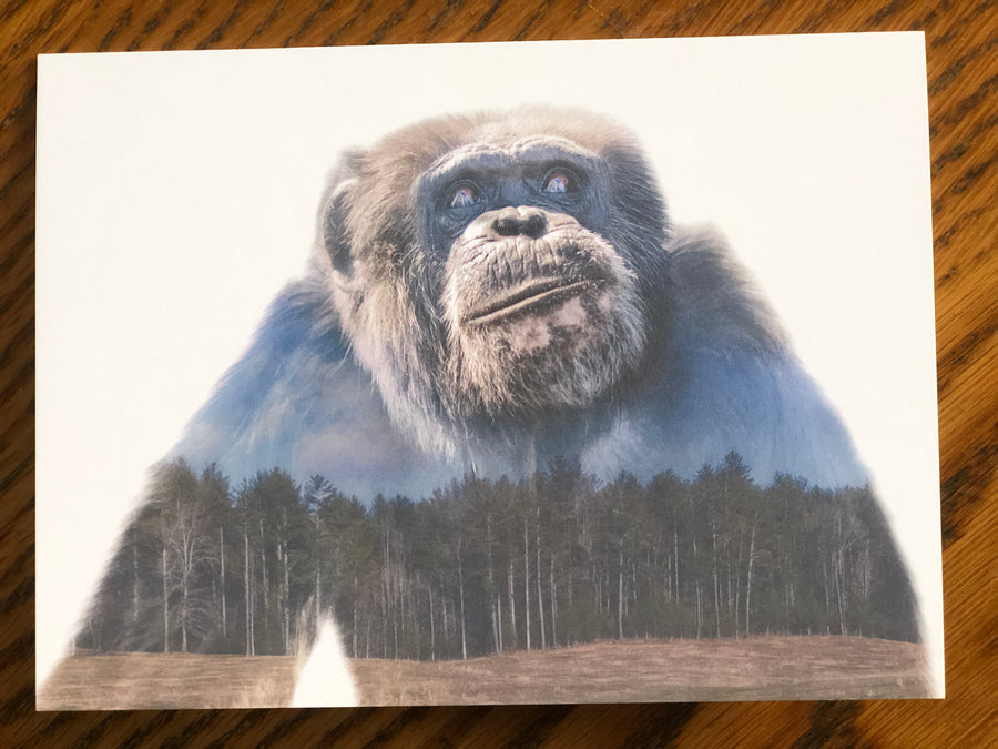 Project Chimps Notecard Set