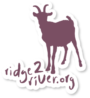 Ridge 2 River Logo Decal Purple