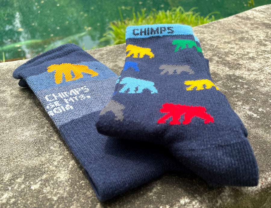 Project Chimps Scenic Socks
